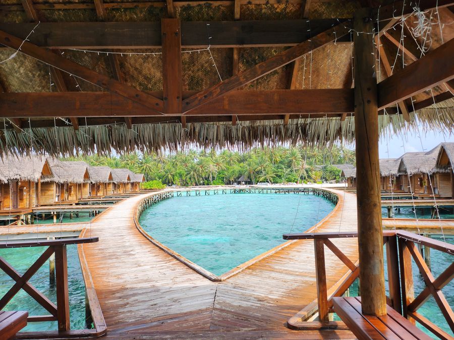 Biyadhoo Island Resort — photo 4