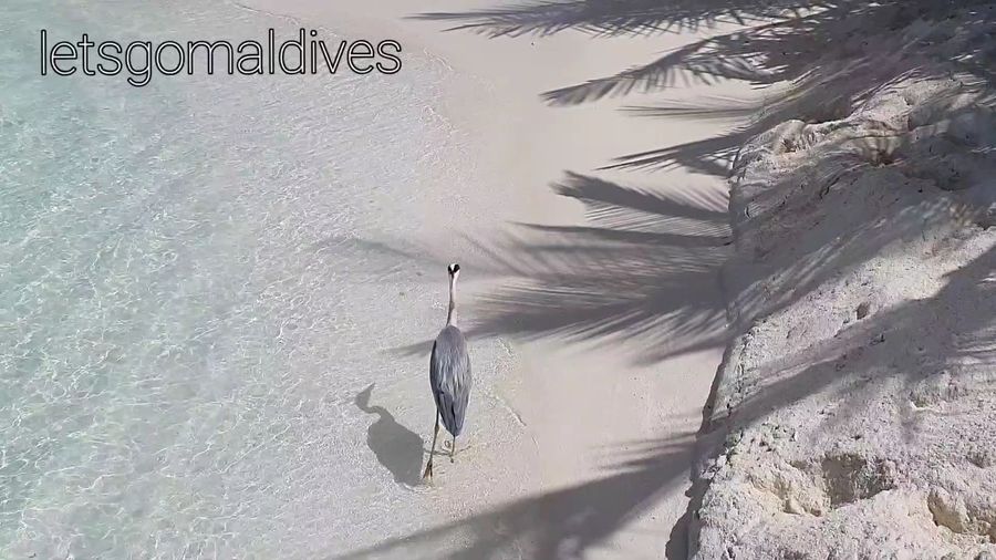 Kandolhu Maldives — photo 2