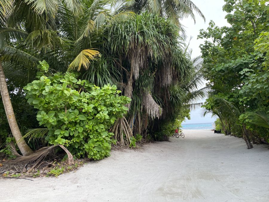 Ahola Thoddoo — photo 3