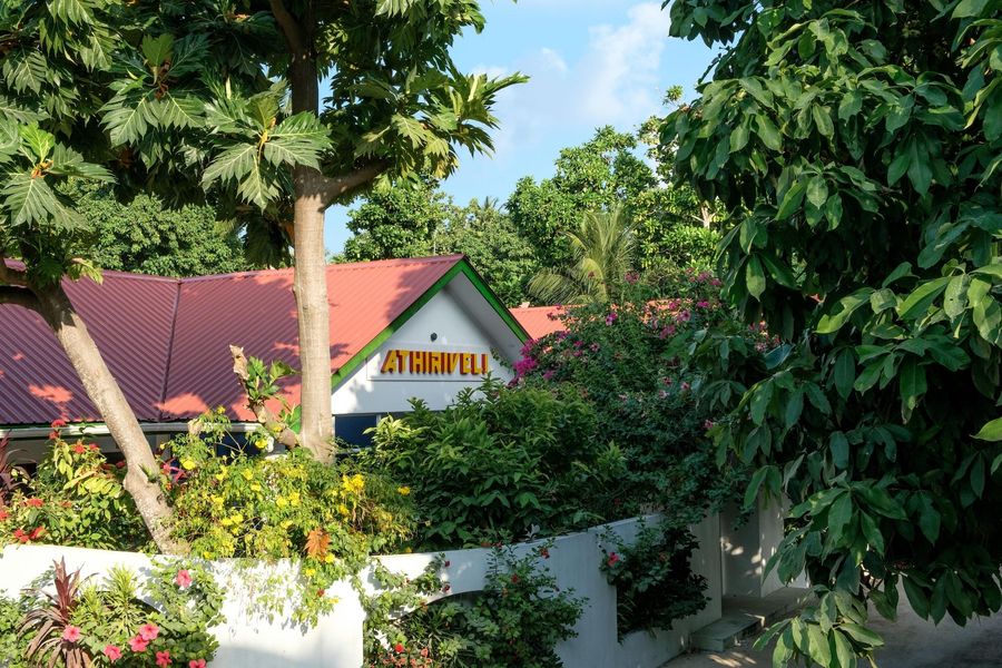 Athiriveli — photo 6
