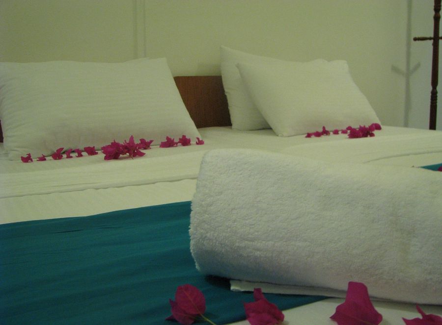 Balma Beach Inn — photo 4
