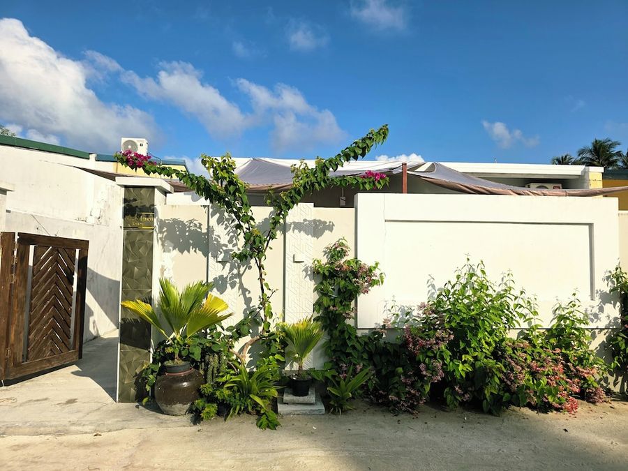 Blue Haven Retreat — photo 2