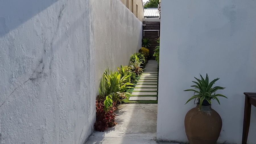 Blue Haven Retreat — photo 4