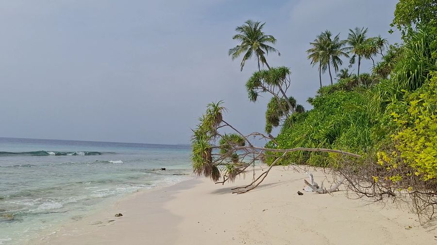 Bon Abri Maldives — photo 4