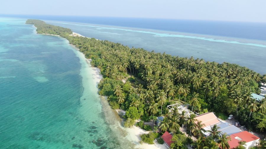 Coconut Drift Maldives — photo 3