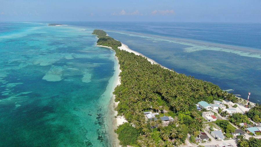 Coconut Drift Maldives — photo 4