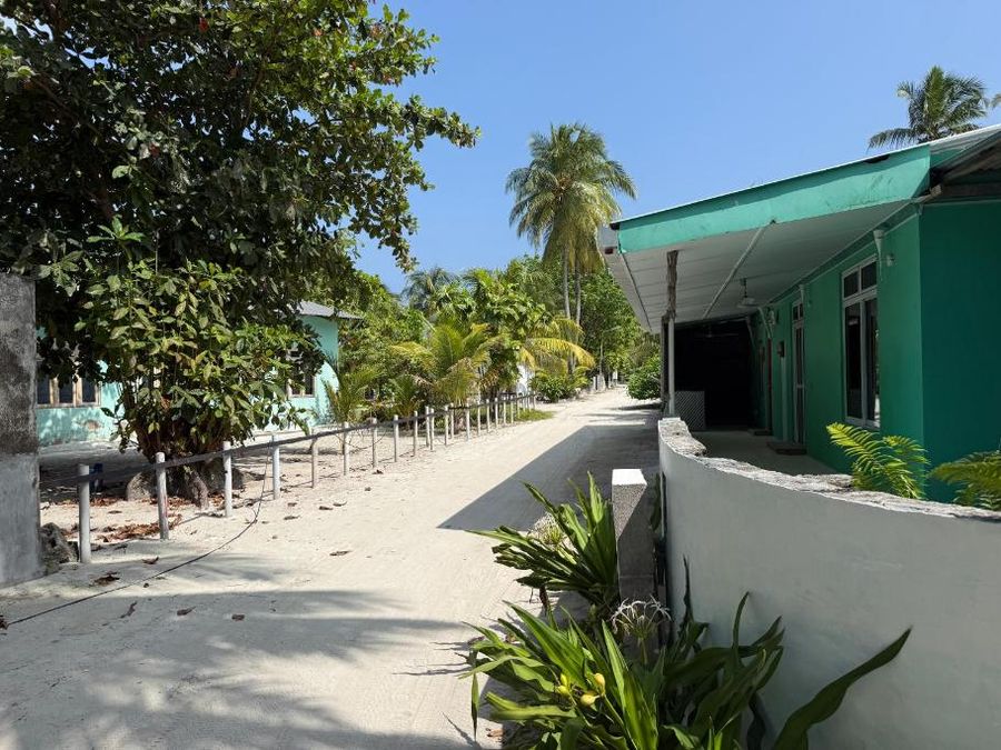 Coconut Palm Dhidhoo — photo 5