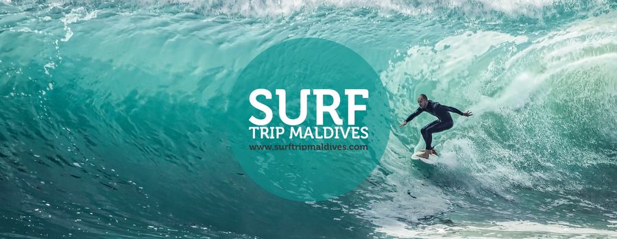 Coconut Surf — photo 6