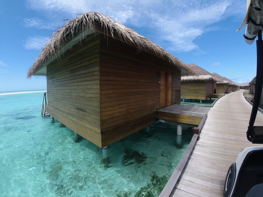 Cocoon Maldives — photo 3
