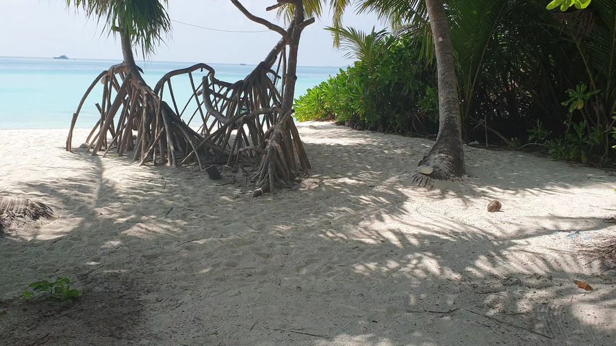 Dhiguveli — photo 2