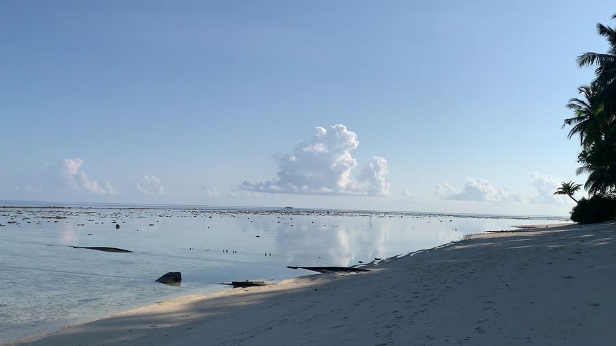 Ecoboo Maldives — photo 4