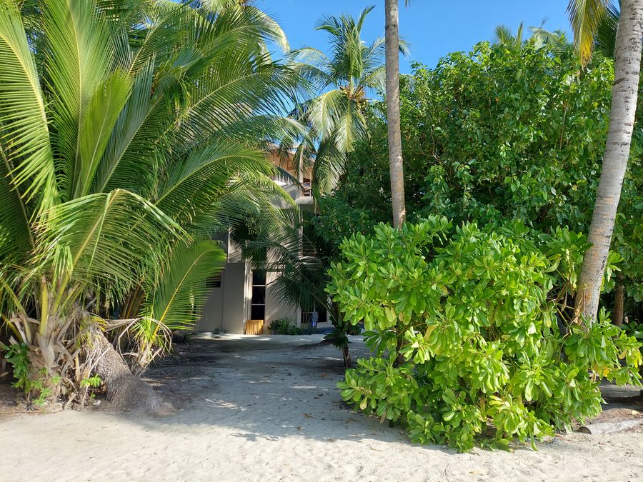 Finolhu Beach Guest House — photo 3