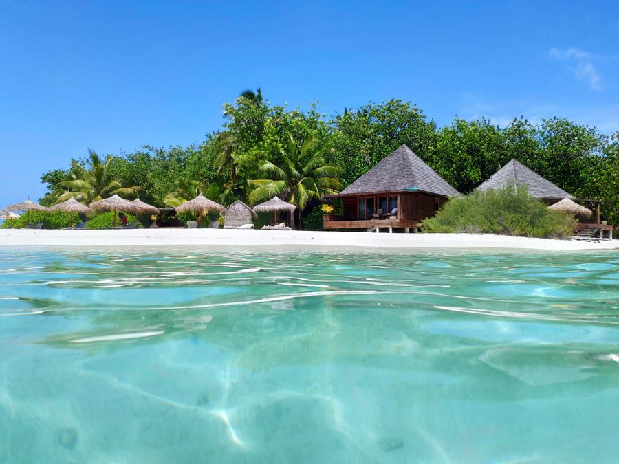 Gangehi Island Resort — photo 4
