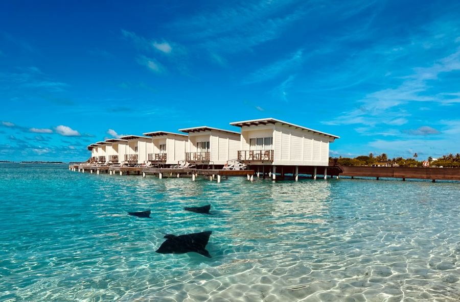 Holiday Inn Resort Kandooma Maldives — photo 5