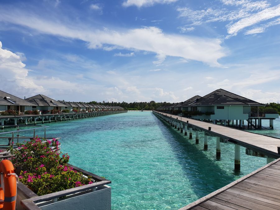 Island Serenity — photo 2