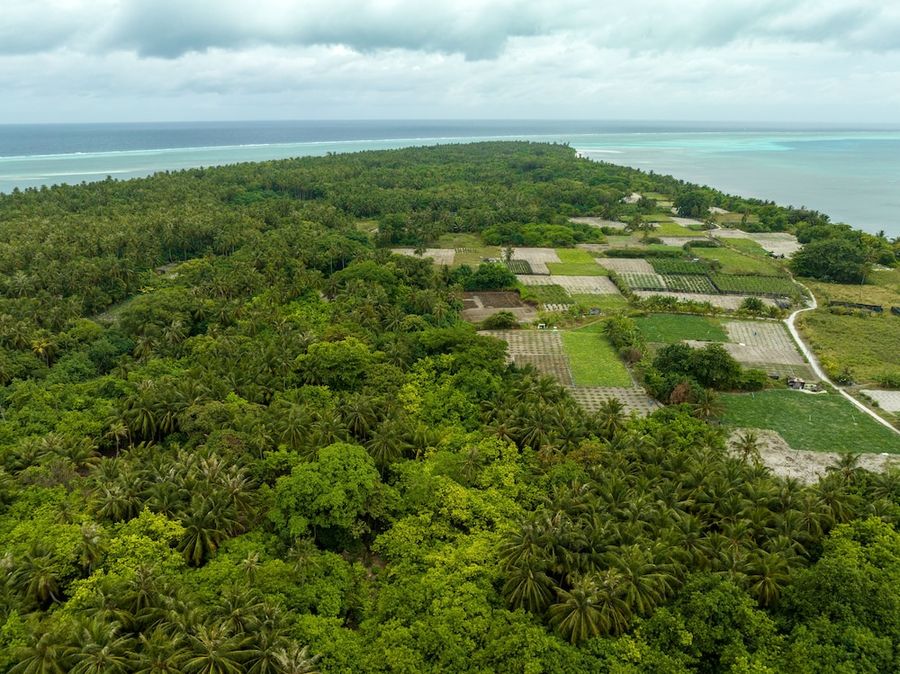 Island Zephyr — photo 4