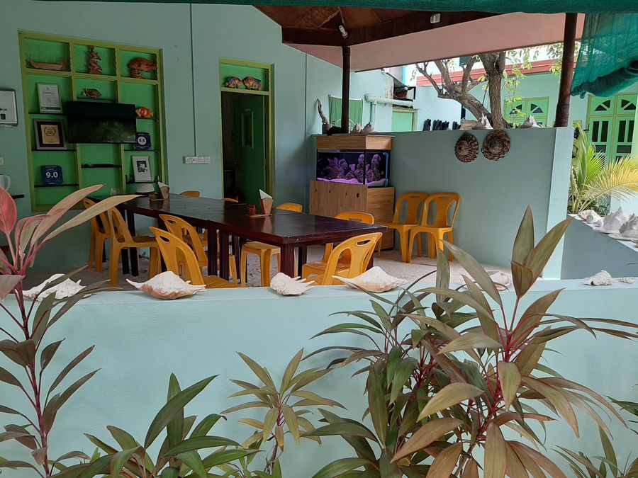 Kuri Inn — photo 4