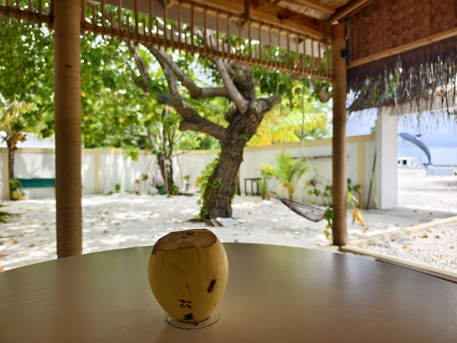 Mirusmaa Inn — photo 4