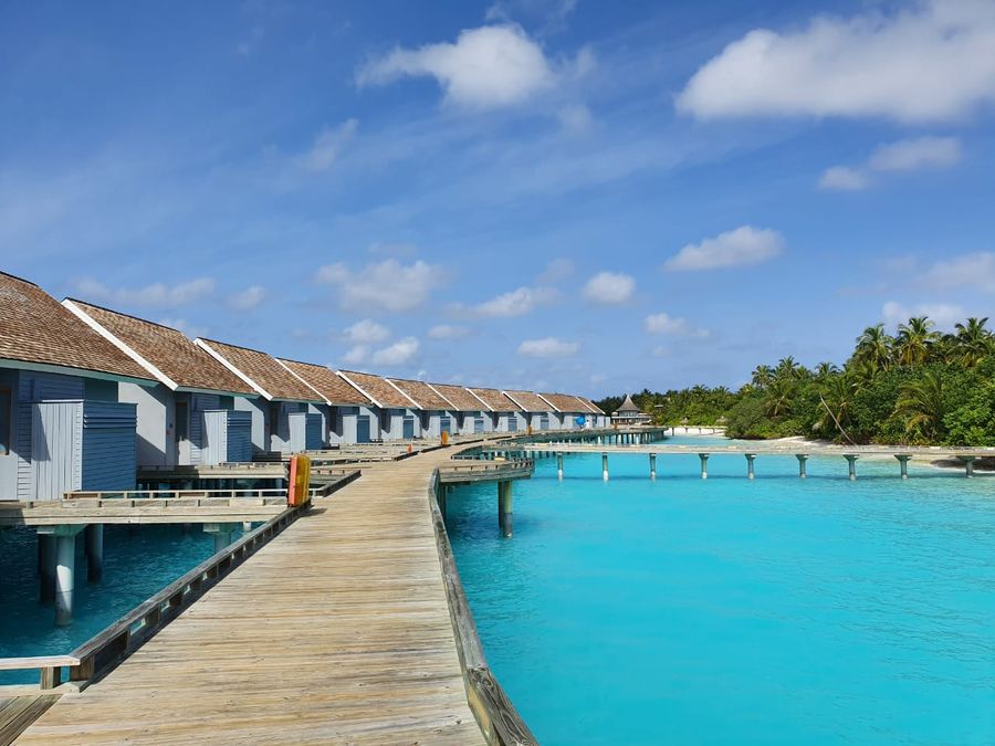 Niva Kuramathi Maldives — photo 4