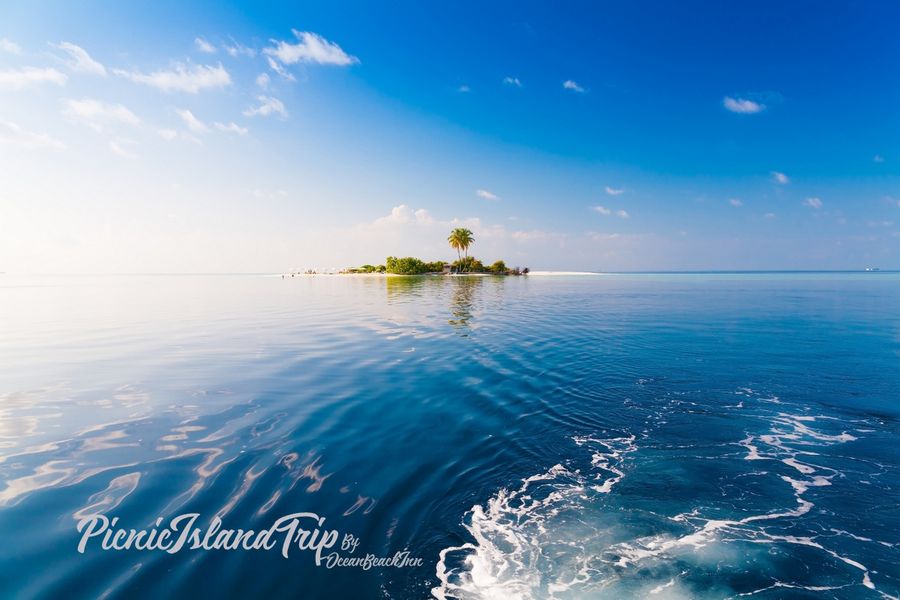Ocean Beach Inn - Maldives — photo 4