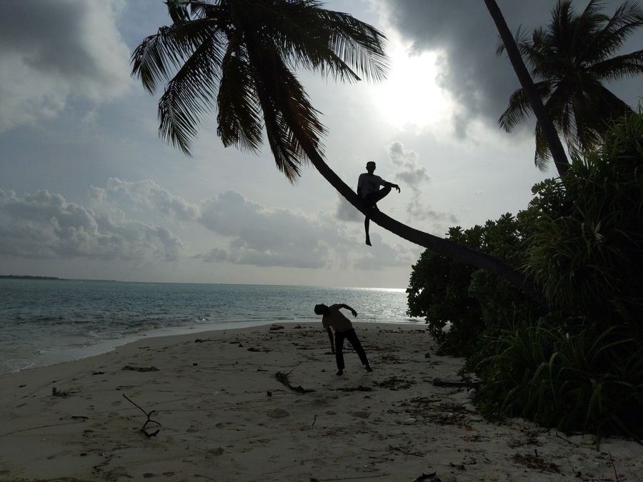 Palm Rest - Magoodhoo — photo 2