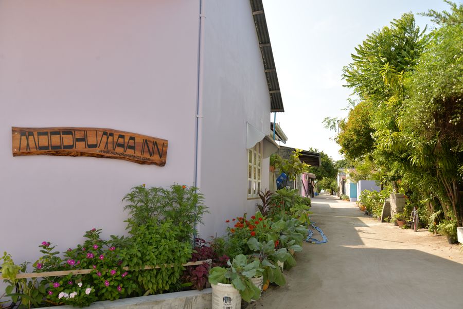 Rosy Villa — photo 2