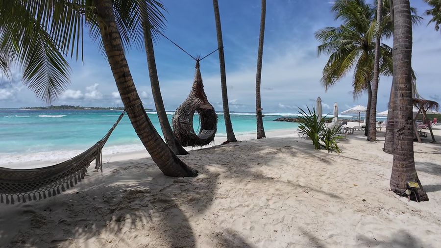 Samura Maldives — photo 5