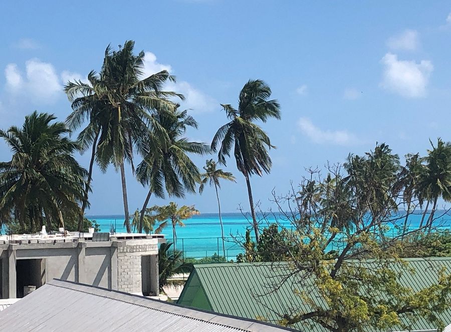 Seena Inn — photo 4