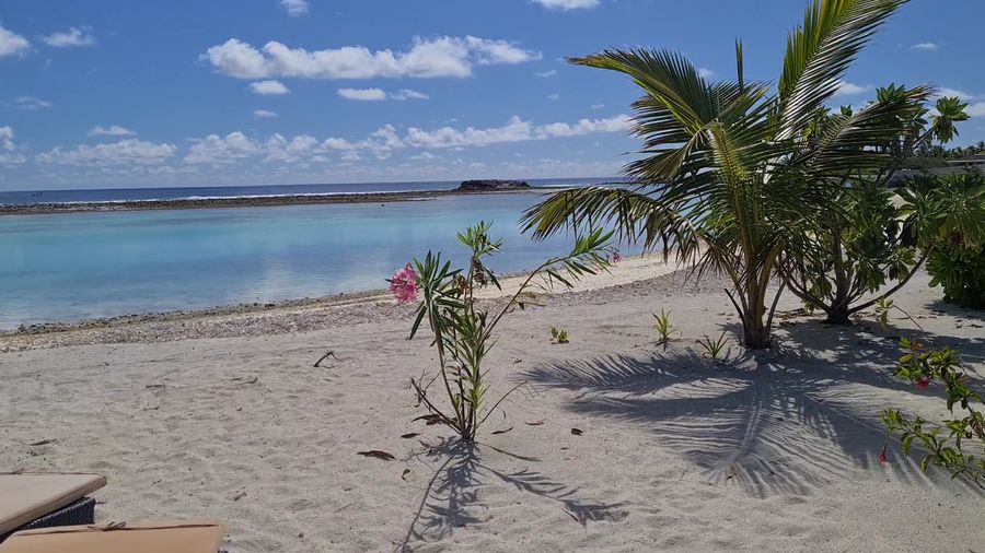 South Palm Resort Maldives — photo 2