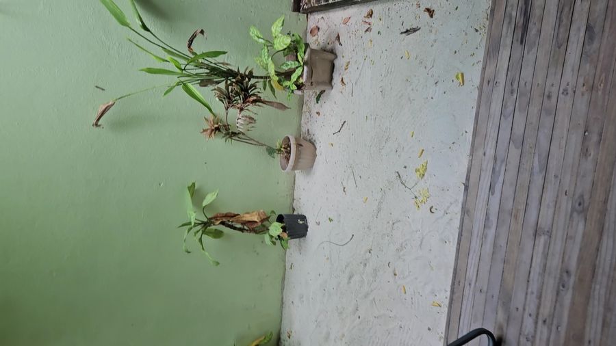 Summer Villa Guest House — photo 4