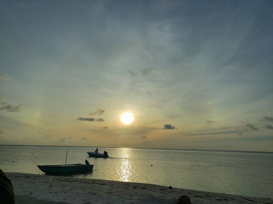 Sunshine View — photo 5