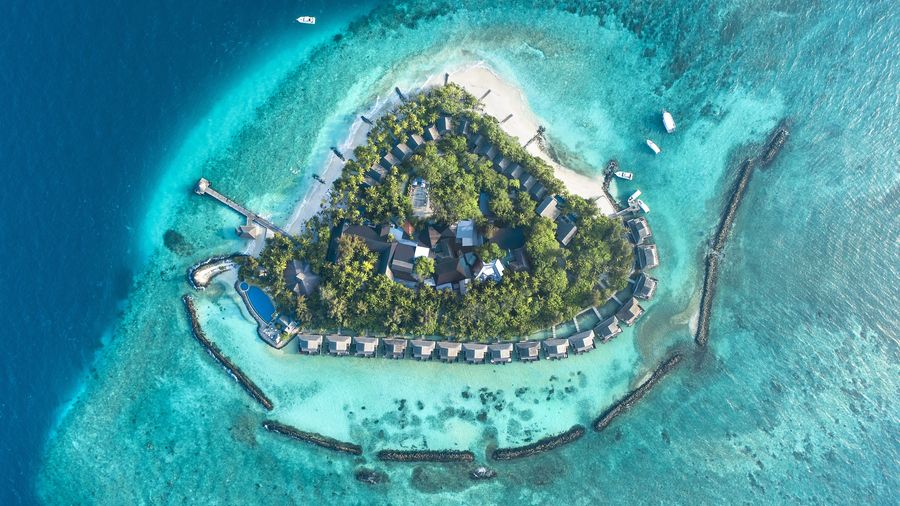 Taj Coral Reef Resort and Spa — photo 4