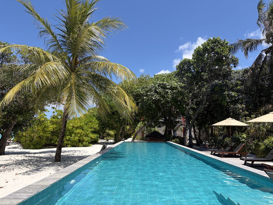 The Barefoot Eco Hotel — photo 3