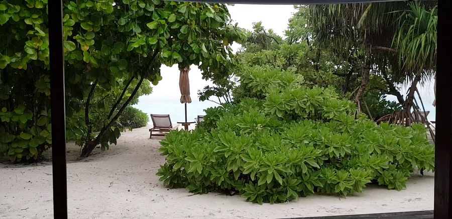 The Barefoot Eco Hotel — photo 4