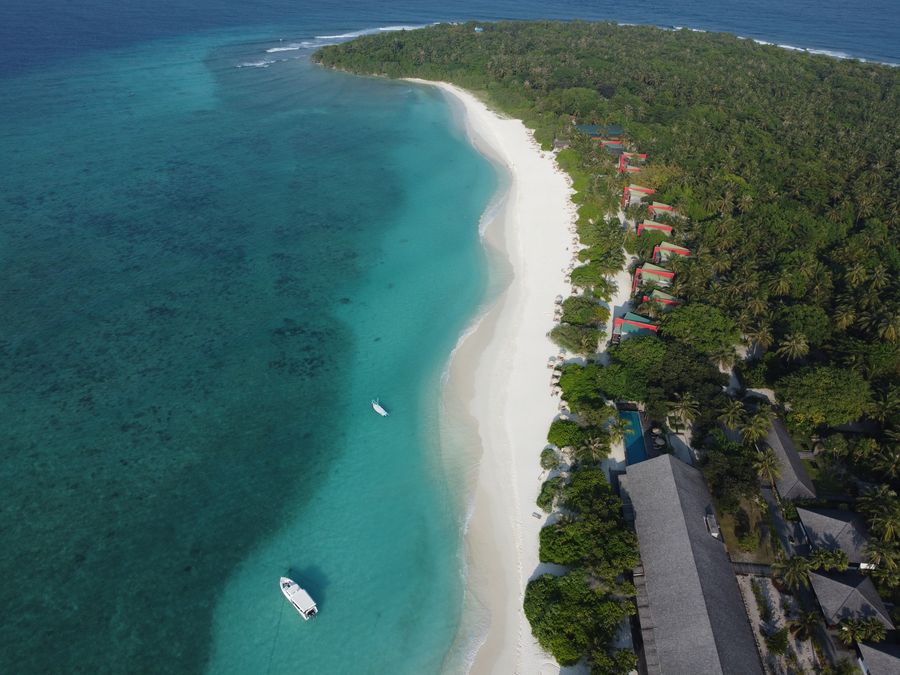 The Barefoot Eco Hotel — photo 5