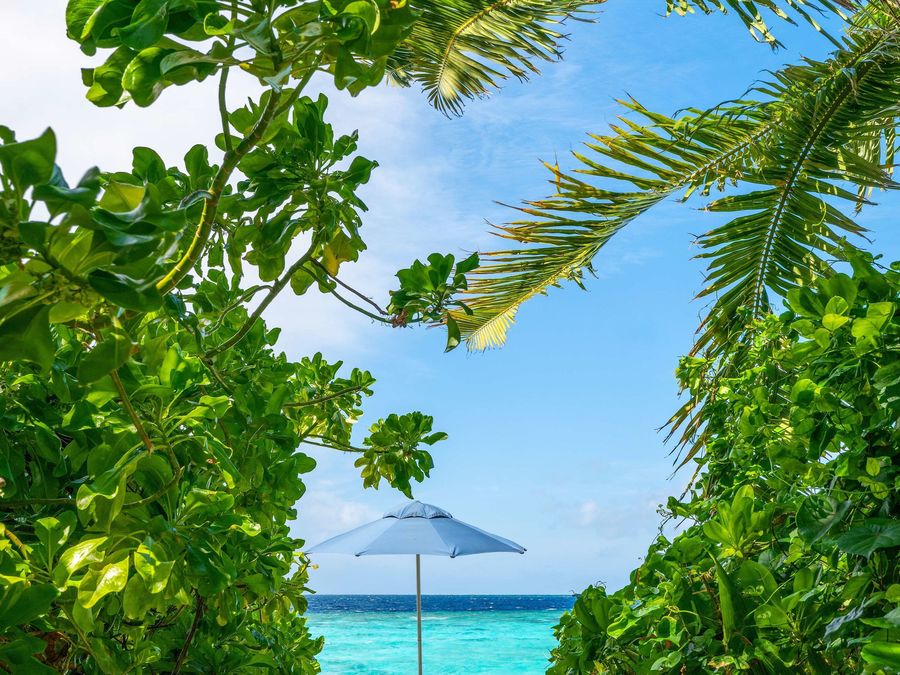 The Halcyon Private Isles Maldives Autograph Collection — photo 3