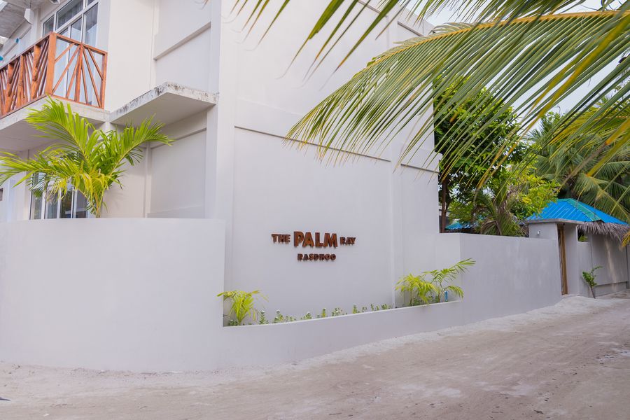 The Palm Ray — photo 4