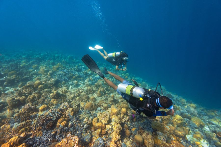 The Standard Huruvalhi Maldives — photo 5