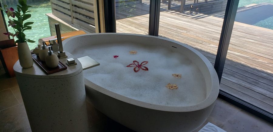 Waldorf Astoria Maldives Ithaafushi — photo 5
