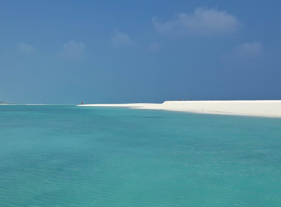 White Tern Maldives — photo 3