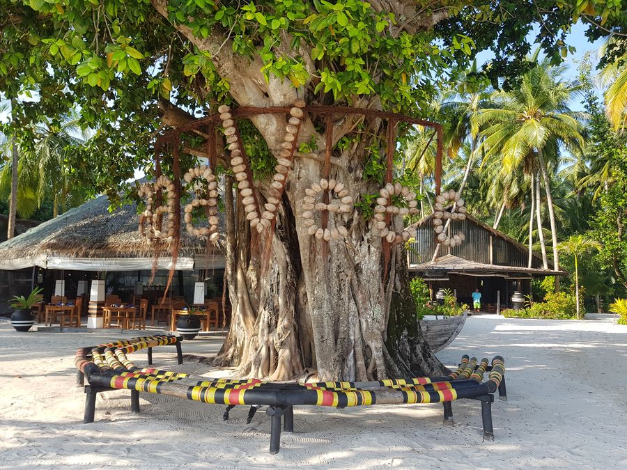 Yash Nature Resort — photo 4